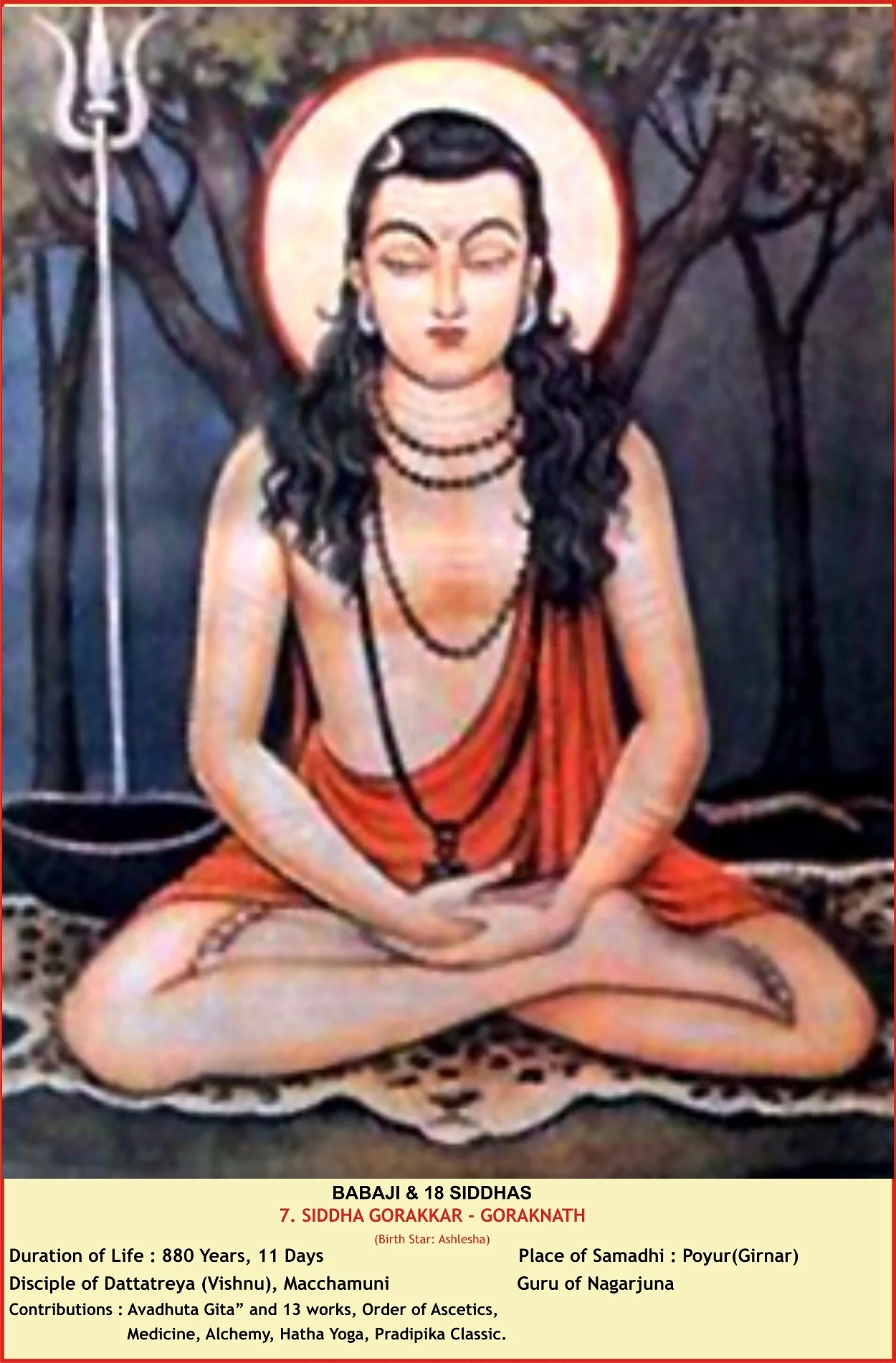 Natal Chart Readings Icon